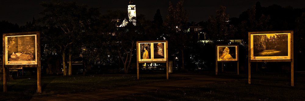 IMG-4896-DxO.jpg