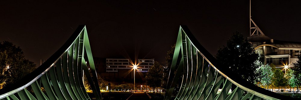 IMG-4907-DxO.jpg